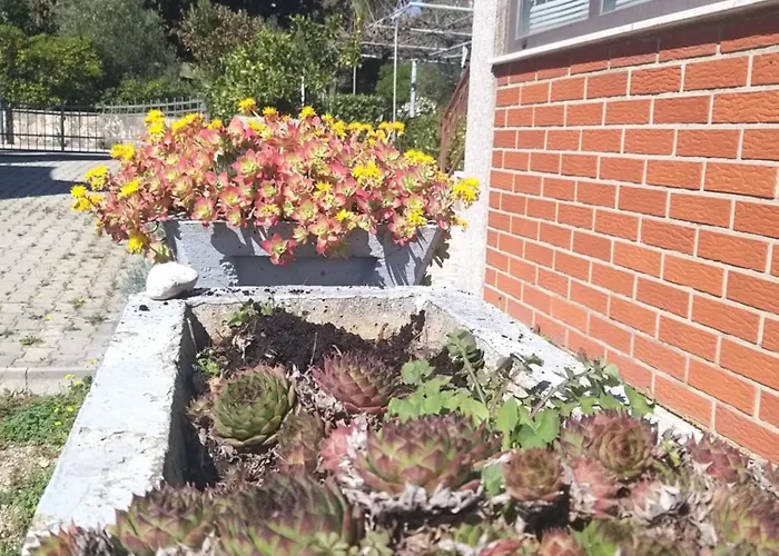 Marica 2 * クルク